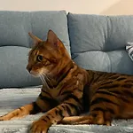 Apartmán La Brisa *