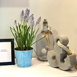 La Brisa Apartmán