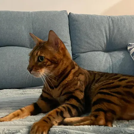 Apartament La Brisa *