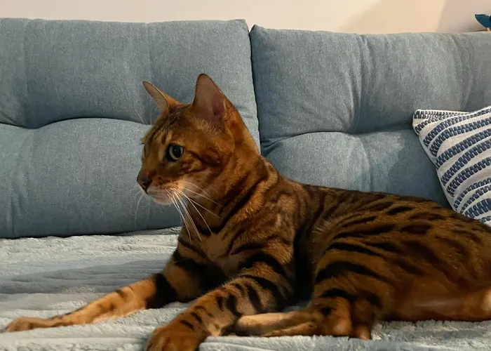 Appartement La Brisa *