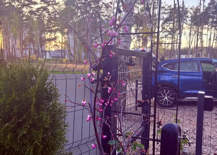 La Brisa * ジブヌベク